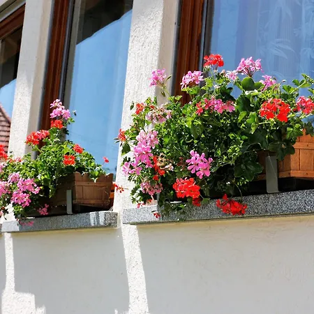 Haus Ingrid Schluchsee