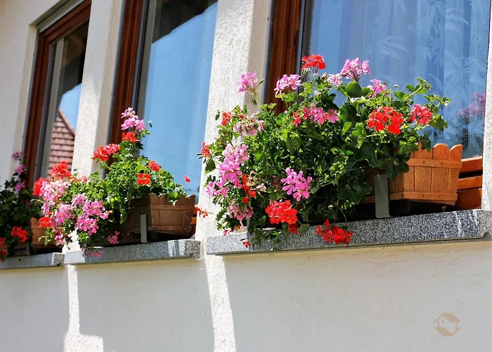 Haus Ingrid Schluchsee