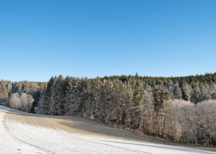 Haus Ingrid Appartement